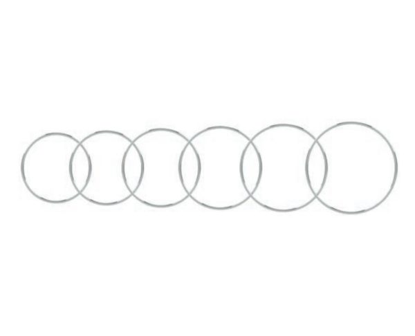 SCLERAL FIXATION RING